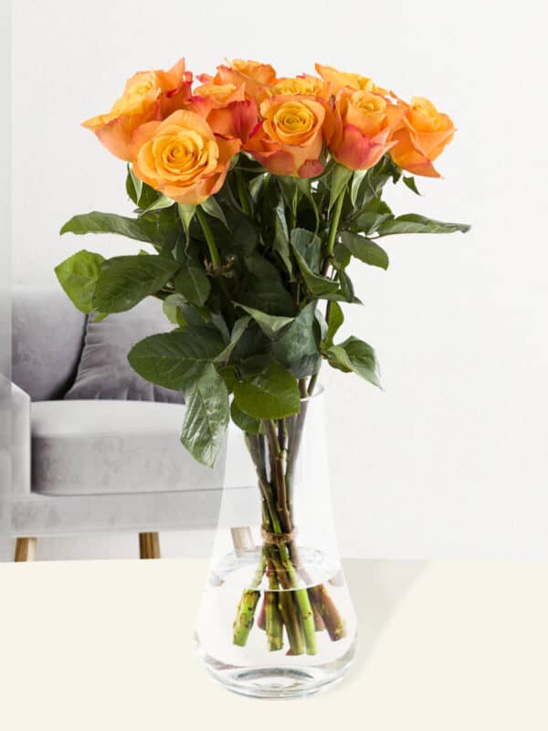 10 oranje rozen - Confidential bezorgen