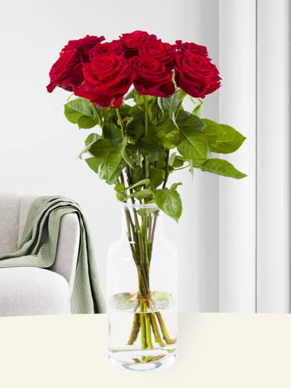 10 rode rozen - Red Naomi bezorgen