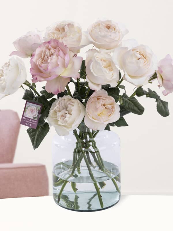 10 roze David Austin rozen - Keira bezorgen