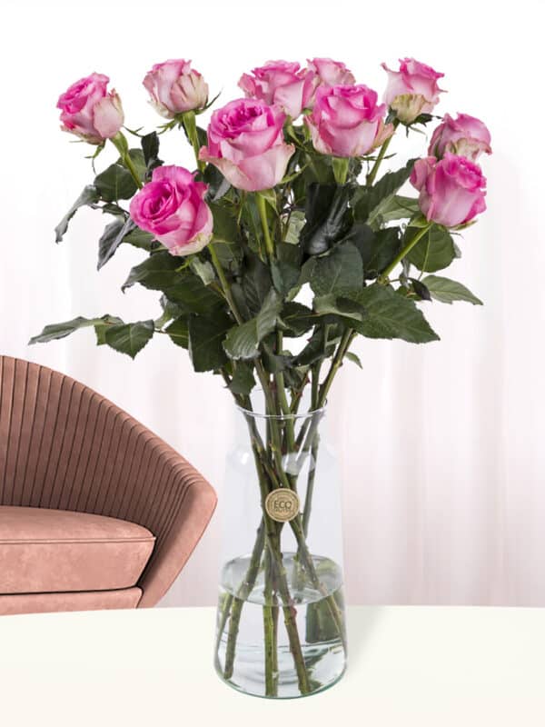10 roze rozen - Revival bezorgen