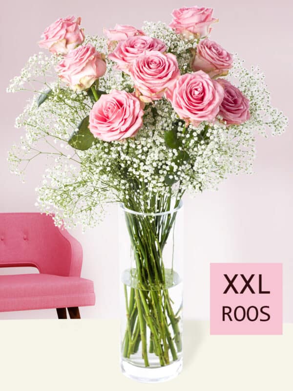10 roze rozen met gipskruid (XXL rozen) bezorgen