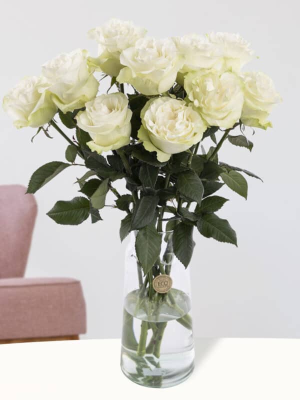 10 witte rozen uit Ecuador bezorgen