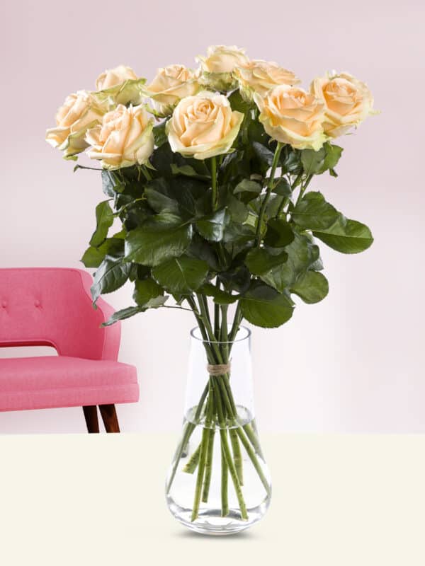10 zalmkleurige rozen - Avalanche Peach bezorgen