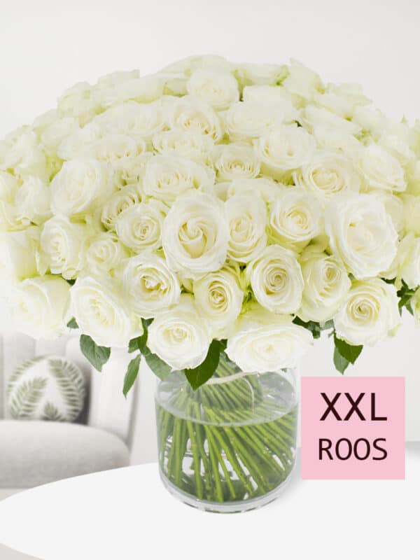 100 witte rozen - Snowstorm bezorgen