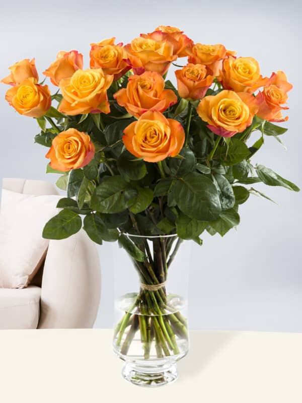 20 oranje rozen - Confidential bezorgen