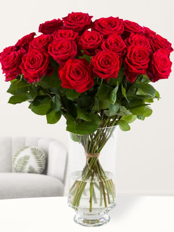 20 rode rozen - Red Naomi bezorgen