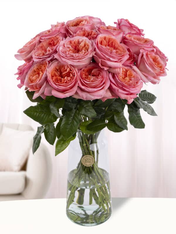 20 roze rozen uit Ecuador bezorgen