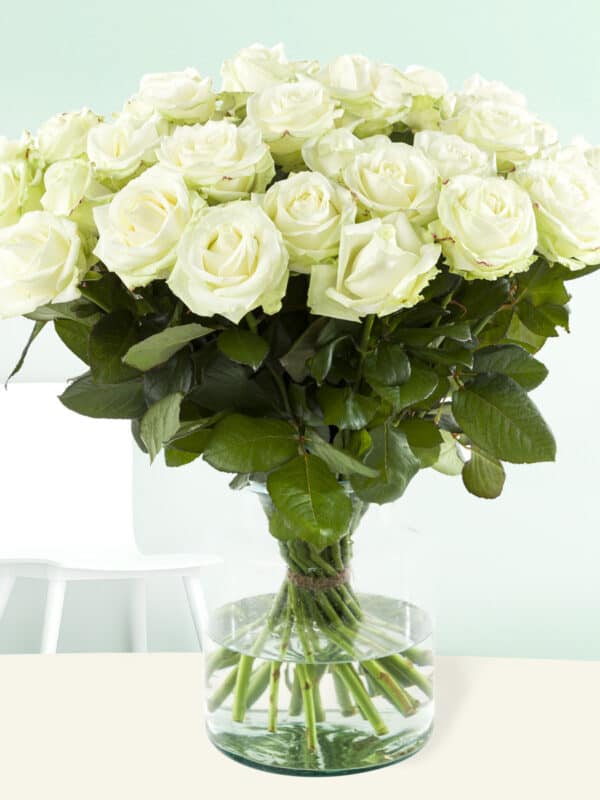 20 witte rozen - Avalanche bezorgen