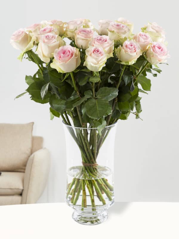 20 zachtroze rozen - Sweet Revival bezorgen