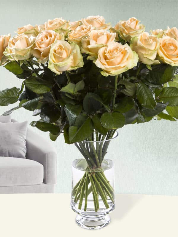 20 zalmkleurige rozen - Avalanche Peach bezorgen