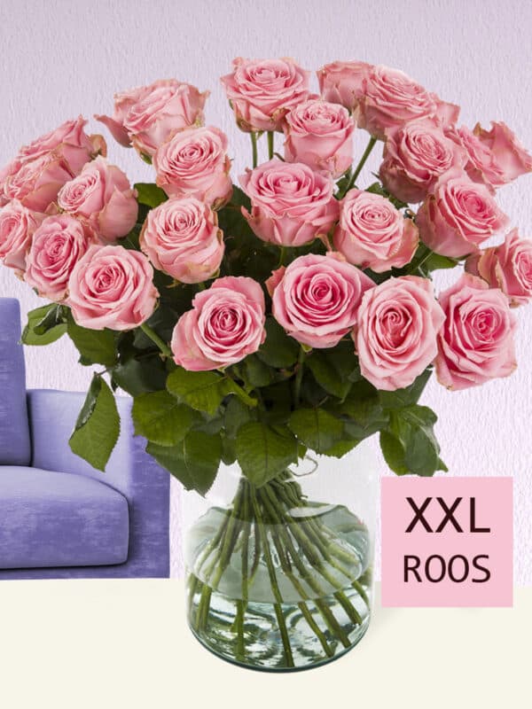 30 roze rozen XXL - Sophia Loren bezorgen