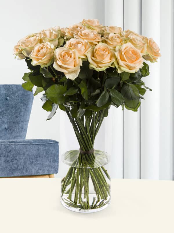 30 zalmkleurige rozen - Avalanche Peach bezorgen