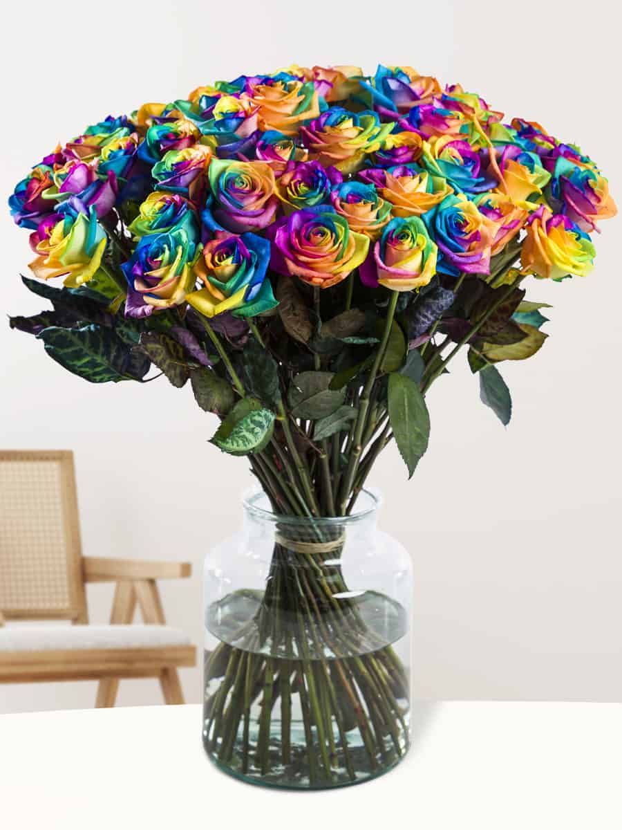 50 regenboog rozen 50 regenboog rozen bezorgen