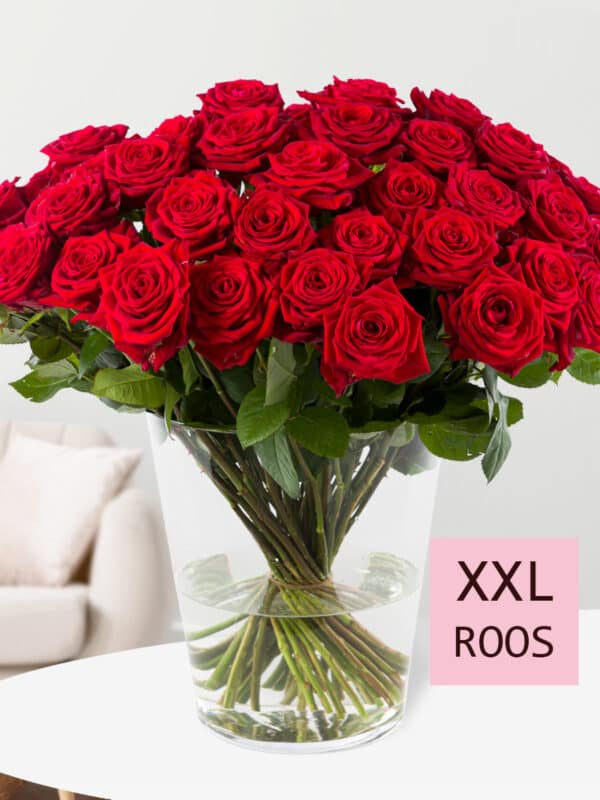 50 rode rozen - Red Naomi bezorgen
