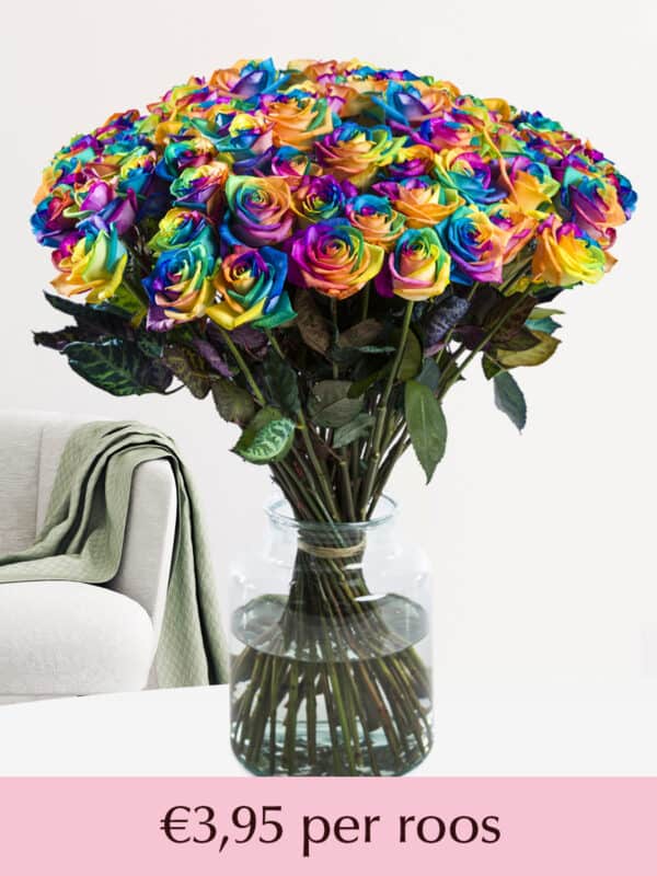 50 t/m 99 regenboog rozen bezorgen
