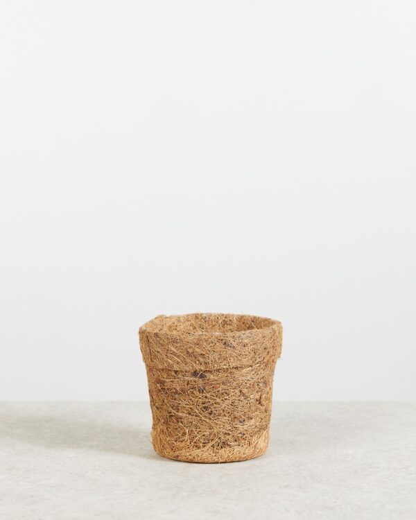 Ada Kokedama Pot Kokosvezels bezorgen via PLNTS