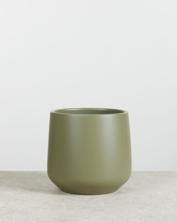Amber Pot Groen bezorgen via PLNTS