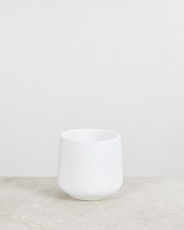 Amber Pot Wit bezorgen via PLNTS