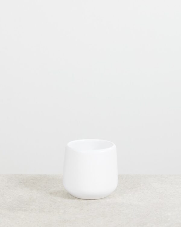 Amber Pot Wit bezorgen via PLNTS