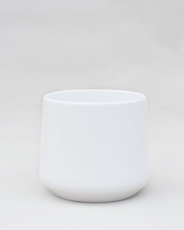 Amber Pot Wit bezorgen via PLNTS