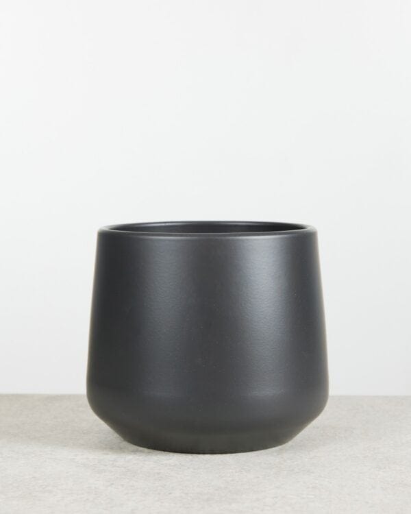 Amber Pot Zwart bezorgen via PLNTS
