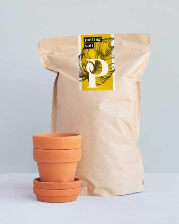 Baby Potting Set bezorgen via PLNTS