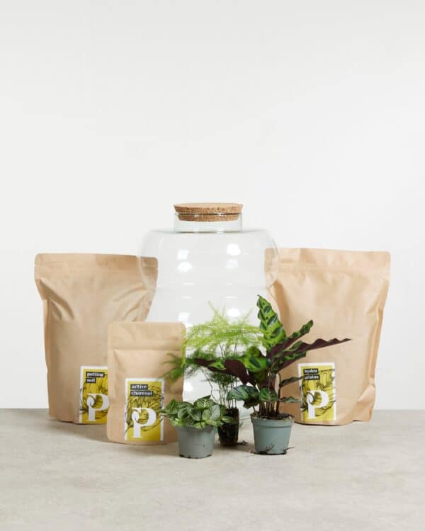 Bello Terrarium Medium Starter Kit bezorgen via PLNTS
