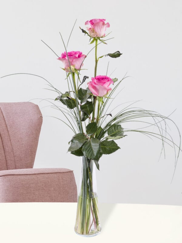 Drie roze rozen