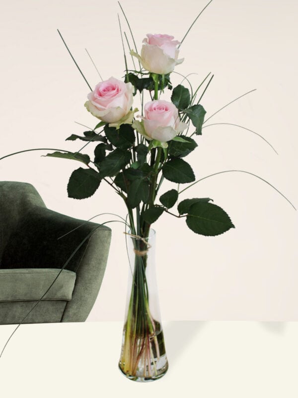 Drie roze rozen