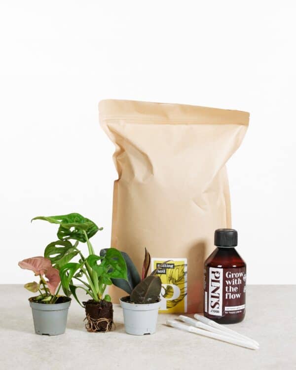 Easy Care Set 3 Planten bezorgen via PLNTS