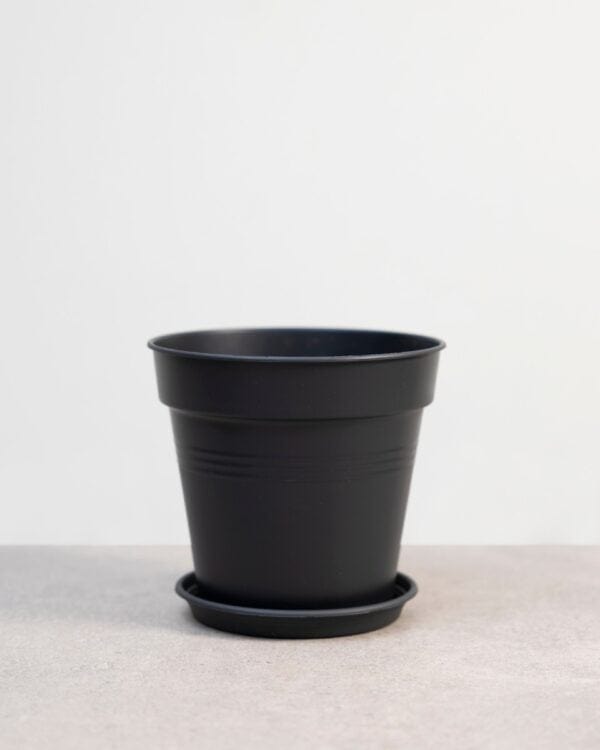 Elho Hagrid Grow Pot bezorgen via PLNTS