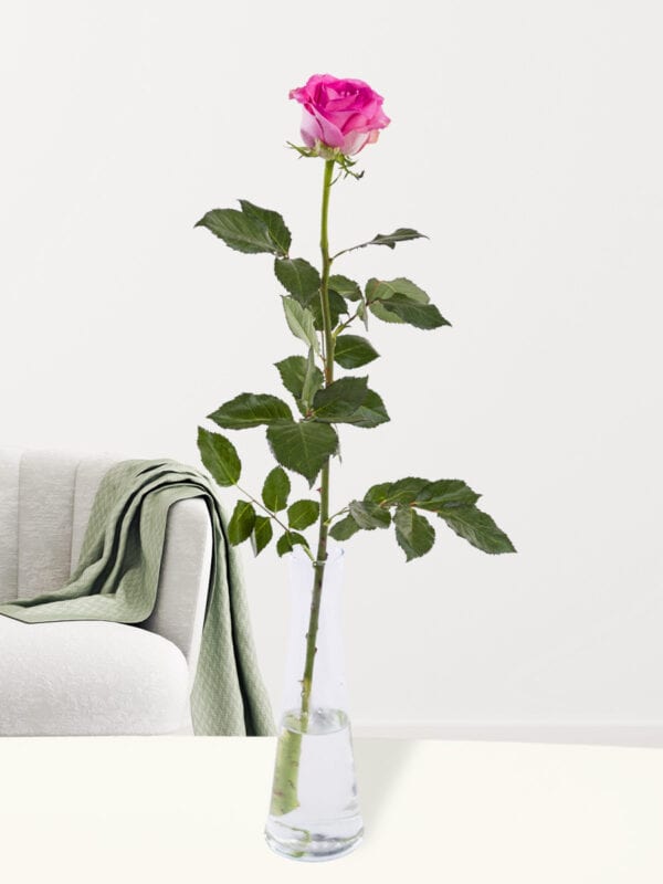 Enkele roze roos inclusief vaasje - Revival bezorgen