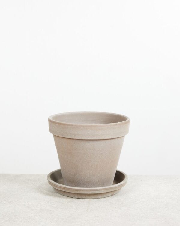Grijze Terracotta Pot bezorgen via PLNTS