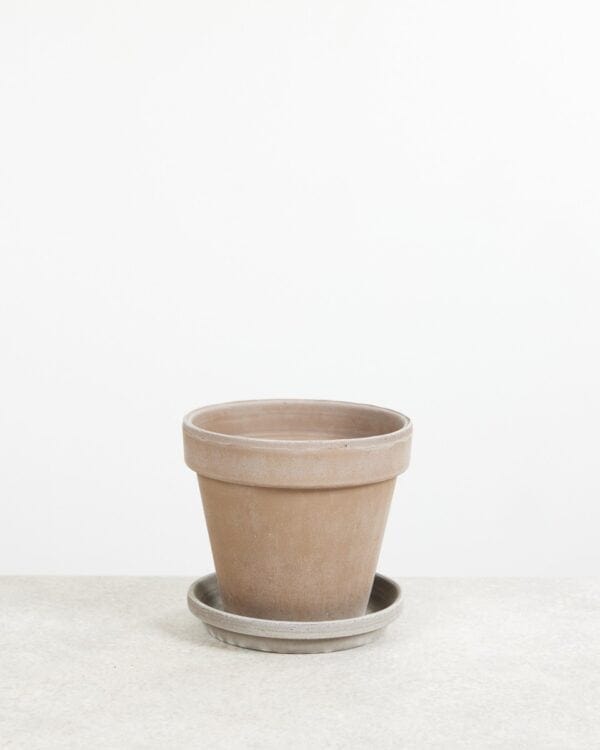Grijze Terracotta Pot bezorgen via PLNTS