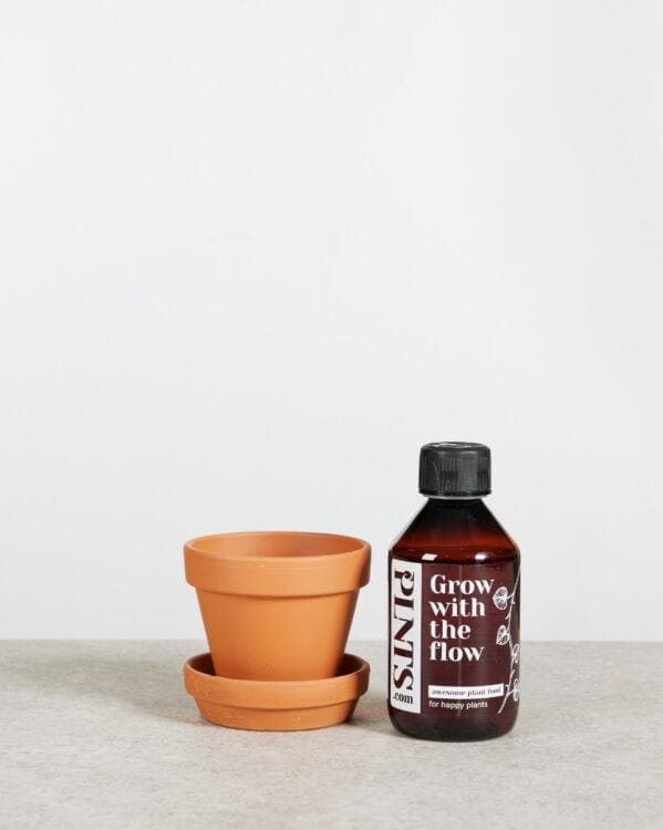 Grow Set 1 bezorgen via PLNTS