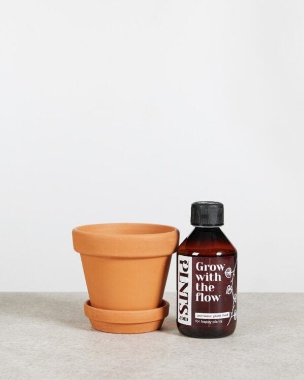 Grow Set 2 bezorgen via PLNTS