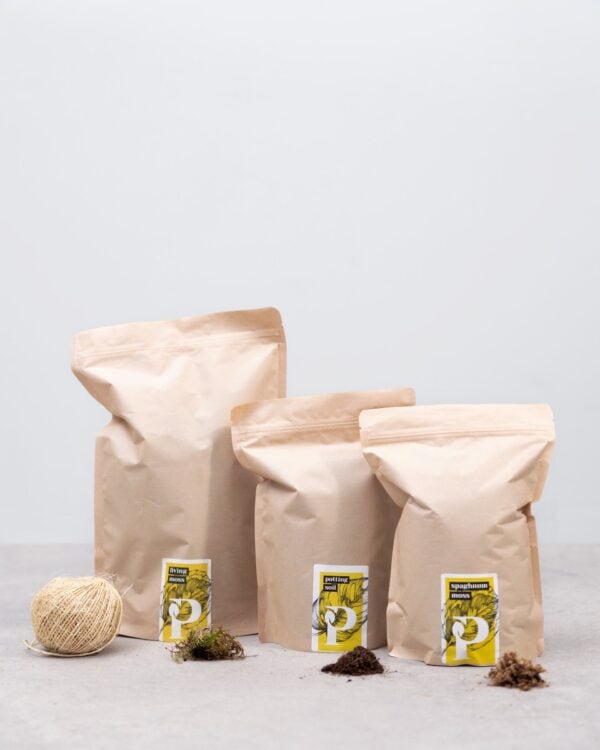 Kokedama Kit bezorgen via PLNTS