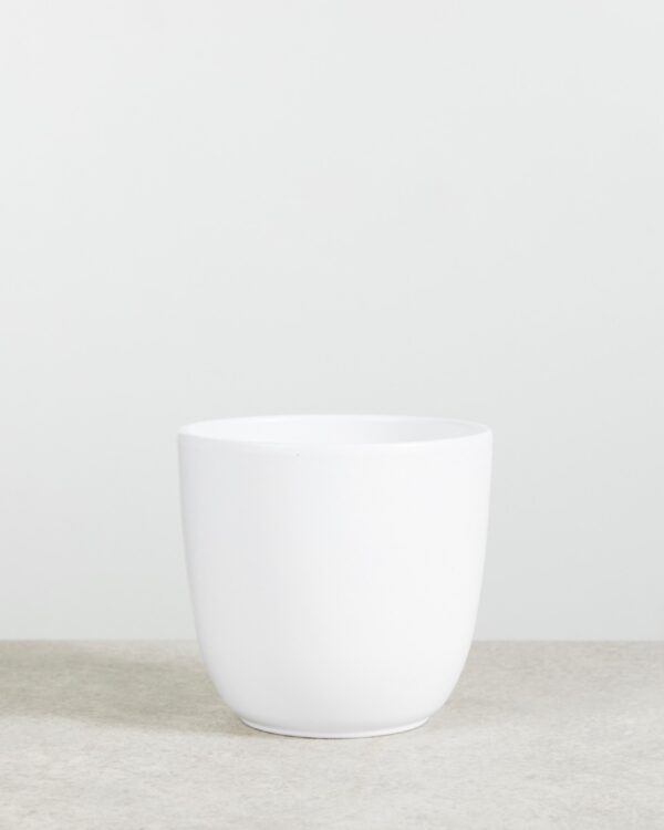 Lexi Pot Wit bezorgen via PLNTS