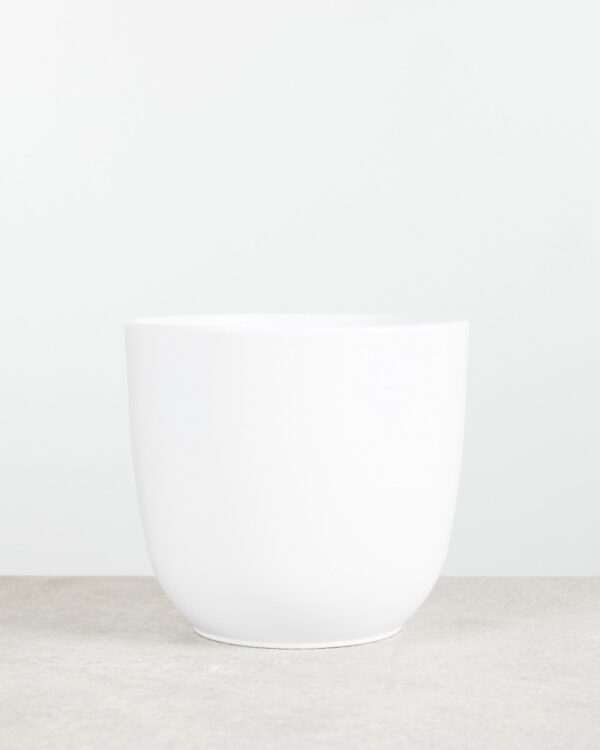 Lexi Pot Wit bezorgen via PLNTS