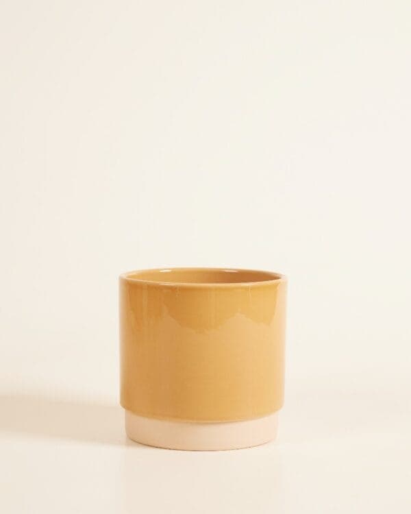 Lisa Pot Dusty Oker bezorgen via PLNTS