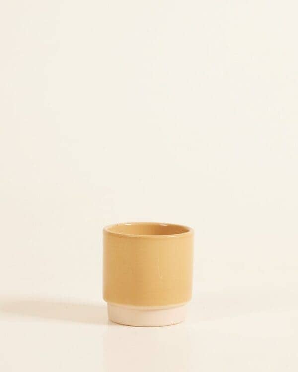 Lisa Pot Dusty Oker bezorgen via PLNTS