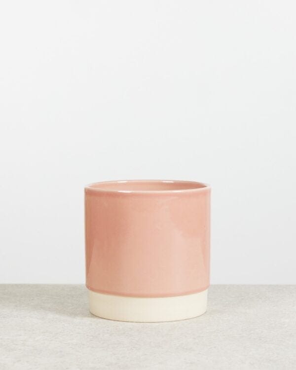 Lisa Pot Dusty Pink bezorgen via PLNTS