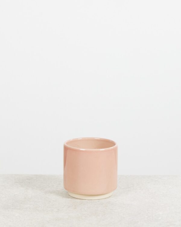 Lisa Pot Dusty Pink bezorgen via PLNTS