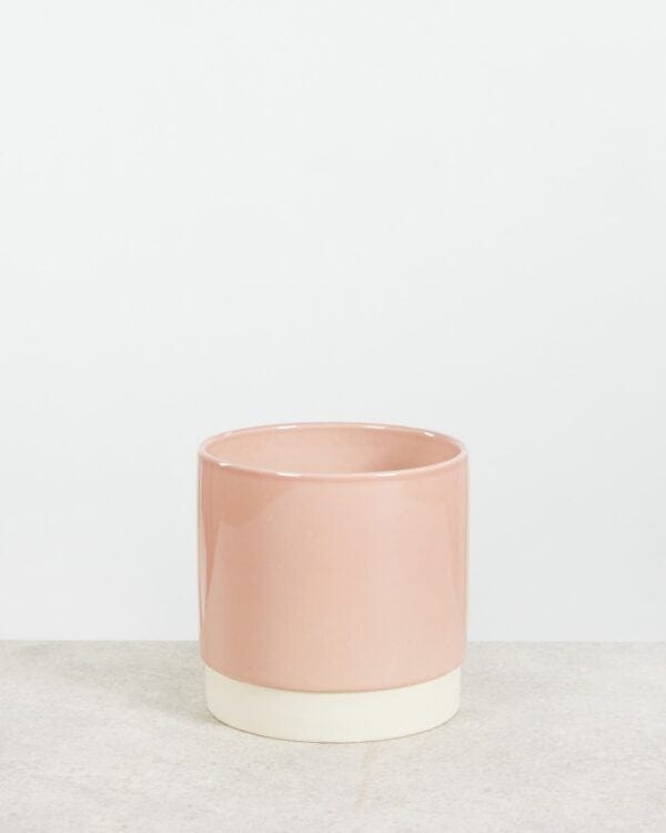 Lisa Pot Dusty Pink bezorgen via PLNTS