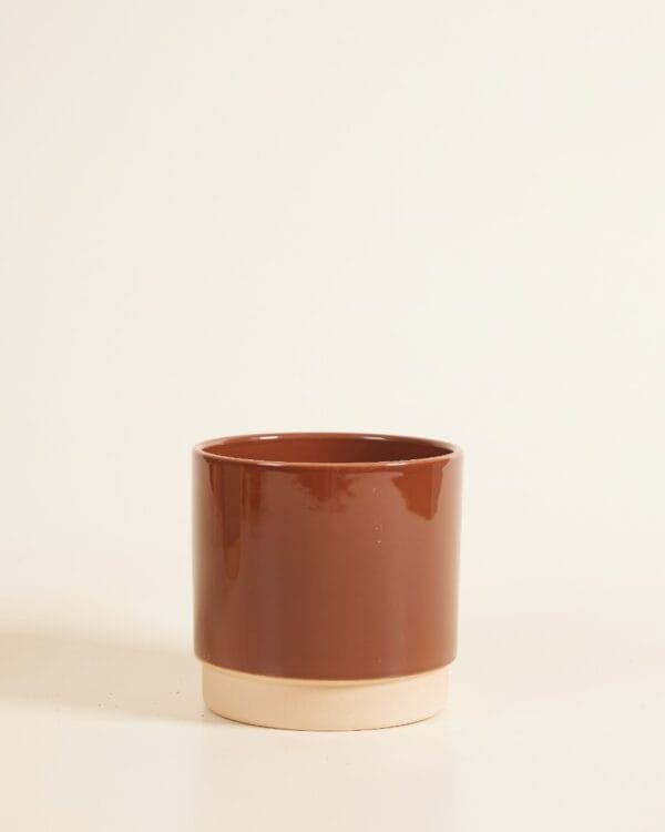Lisa Pot Dusty Terra bezorgen via PLNTS