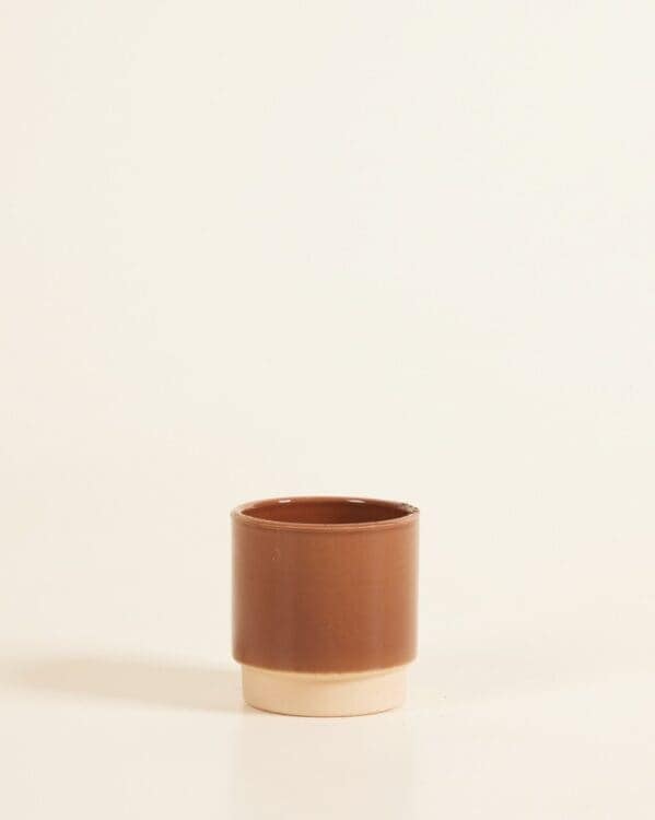 Lisa Pot Dusty Terra bezorgen via PLNTS