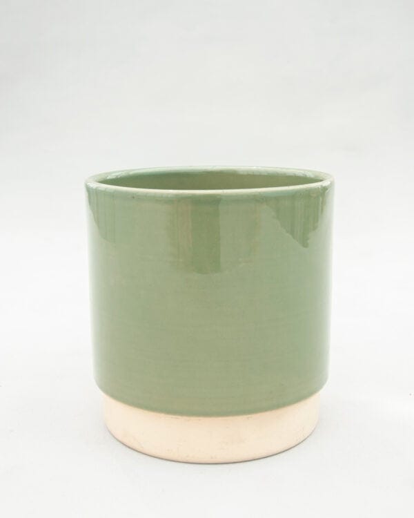 Lisa Pot Groen bezorgen via PLNTS