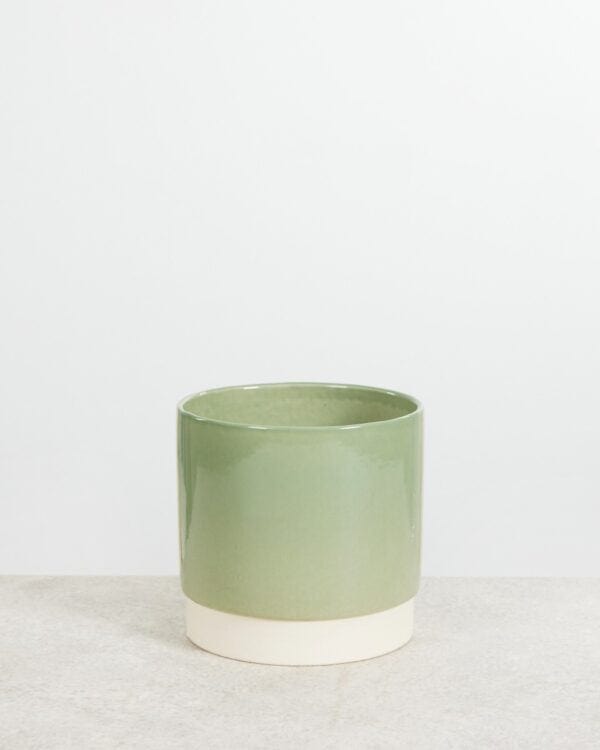 Lisa Pot Groen bezorgen via PLNTS