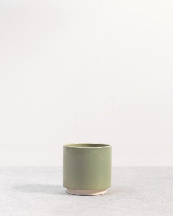Lisa Pot Groen bezorgen via PLNTS