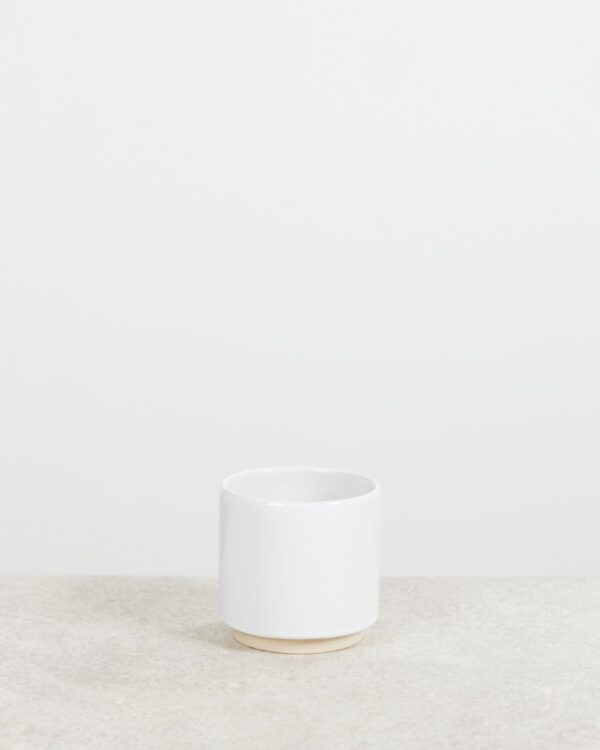 Lisa Pot Wit bezorgen via PLNTS